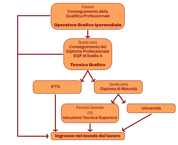 Percorso dopo il triennio: qualifica di Operatore grafico ipermediale, quarto anno con diploma professionale di Tecnico grafico (EQF 4), poi IFTS, quinto anno con diploma di maturità, ITS o università, fino all’ingresso nel mondo del lavoro.